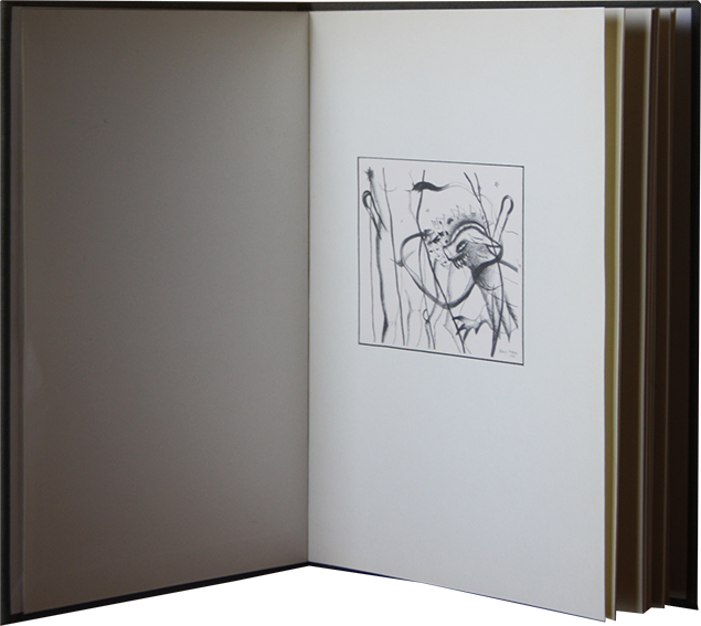 Imagem (2) do livro